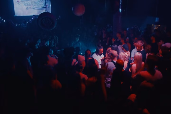 WILDERICH - photo 25